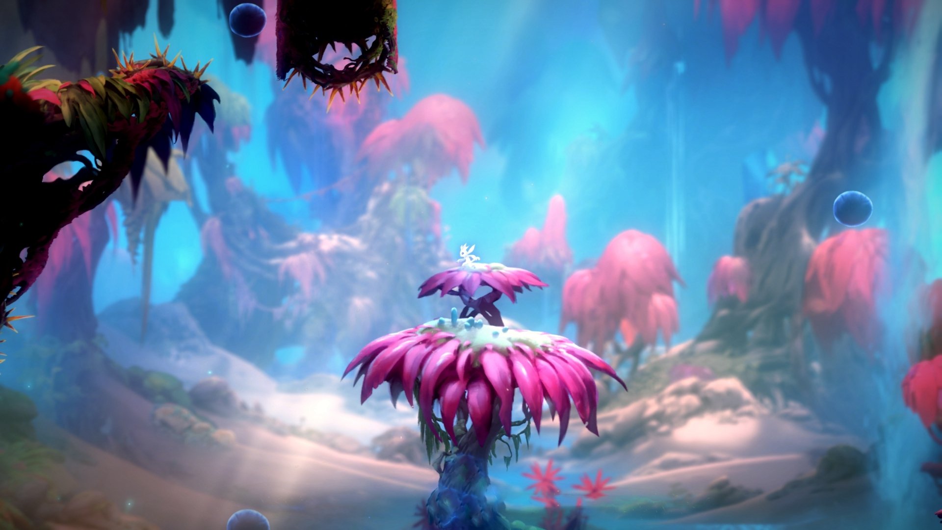 开云平台-v7.2.5版本正式发布，2026年8月12日，一场关于效率与安全的静默革命